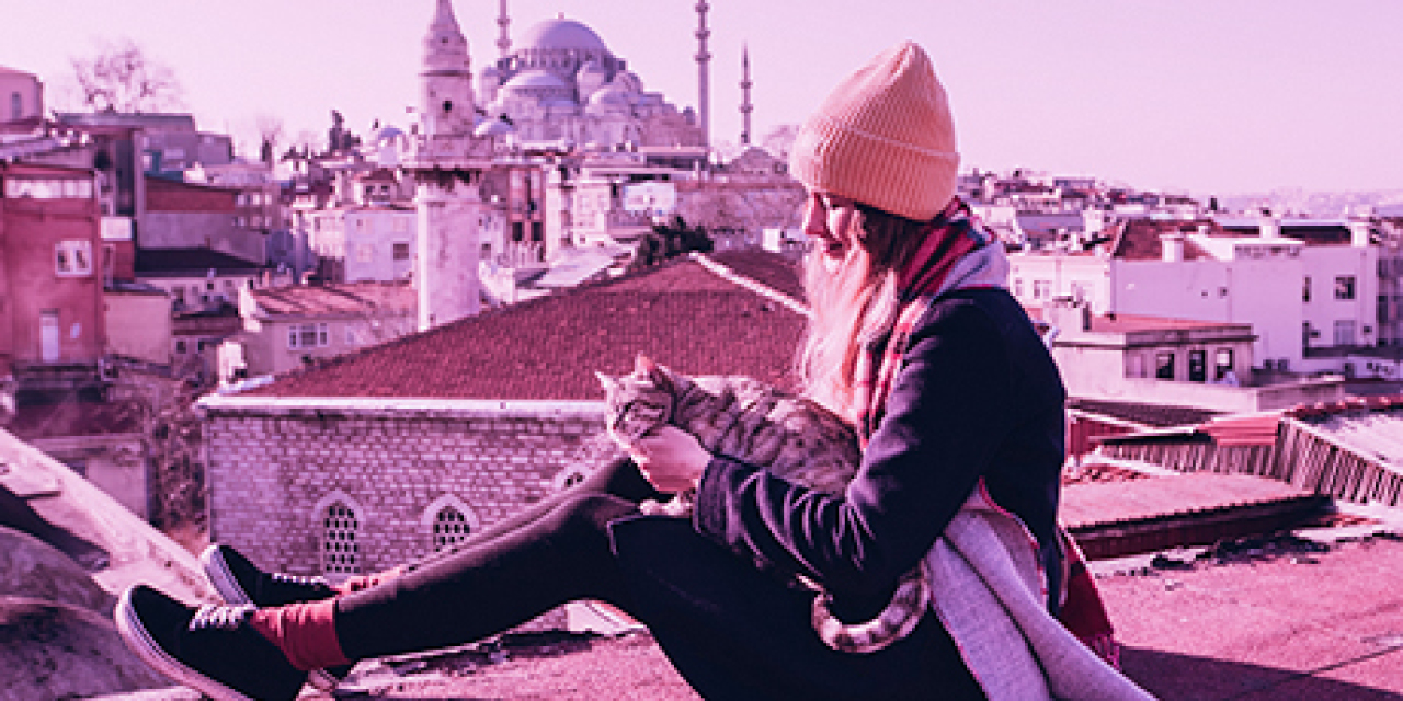 Why Choose Türkiye Scholarships?