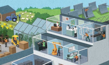 Future of Jobs: Insights from the World Economic Forum’s 2025 Report
